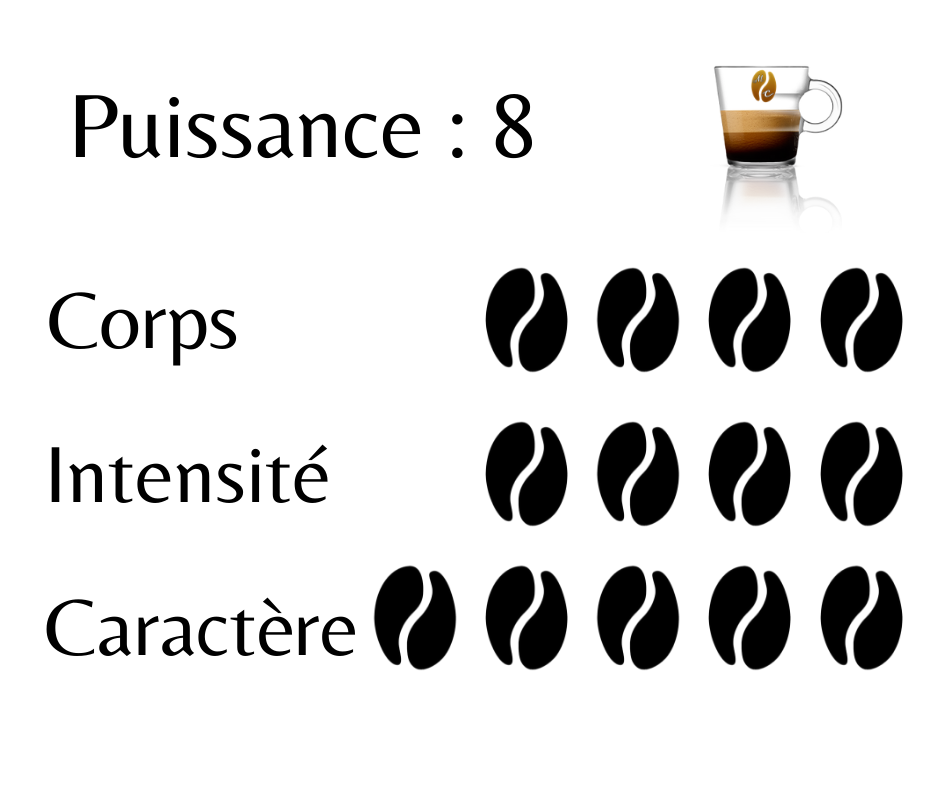 Miniature : Capsule Café Intense Cremoso Compatible Caffitaly® X10