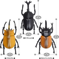 ジラフ　立体昆虫タイ 楽天市場】昆虫 カブトムシ リアル フィギュア 立体図鑑ライナ