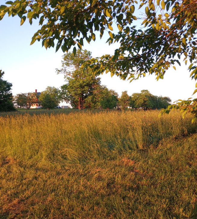 Historic Wedding Estate in the background at Rotherwood Events in Winchester, KY