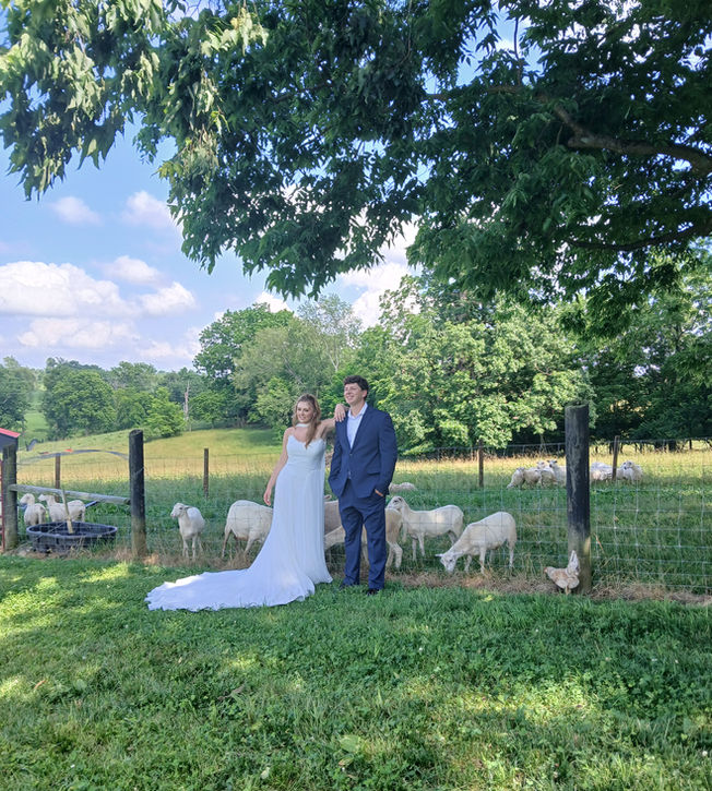 Couple with farm animals at Rotherwood Events