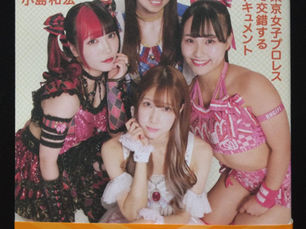 女子プロレスを語ろう