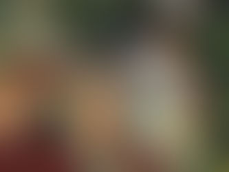 Dead or Alive 5 Last Round