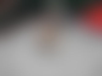 エンター・ザ・ドラゴン途中経過12