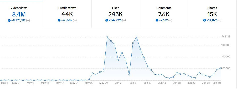 Tiktok Overview - 1.JPG