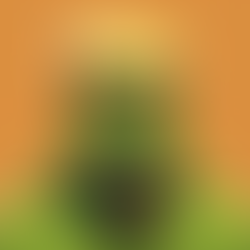 Is Aggression the New Justice? What Donald Trump’s Behavior Reveals About Modern Society