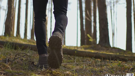 Hiker’s legs and boots walking uphill through a mossy pine forest.
