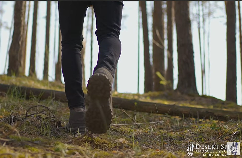 Hiker’s legs and boots walking uphill through a mossy pine forest.
