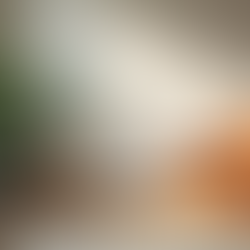 What to Expect During a Feng Shui Consultation