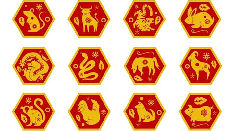 Embracing Diversity: Unveiling the Unique Contributions of Each Chinese Zodiac Sign
