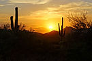 sunset-silhouette-view-of-the-arizona-desert-with-2026-03-26-06-37-23-utc.jpg