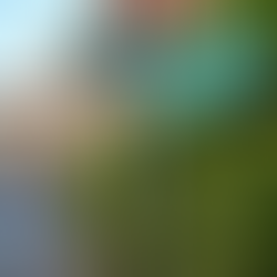 The Hidden Feng Shui Behind Singapore’s Street Names: What It Means for Your BTO and Beyond