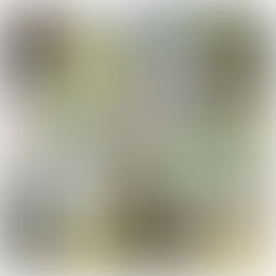 永悅天漾 植感美學堂 第四場活動花絮