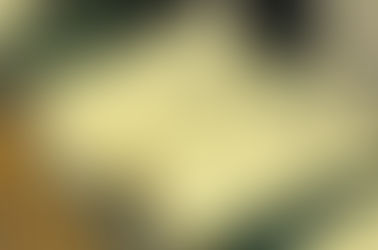 Remise des bulletins