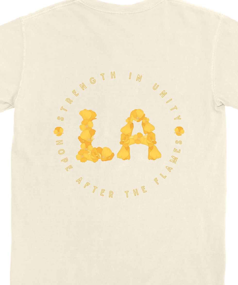 Thumbnail: hope after the flames graphic tee with phoenix-inspired design