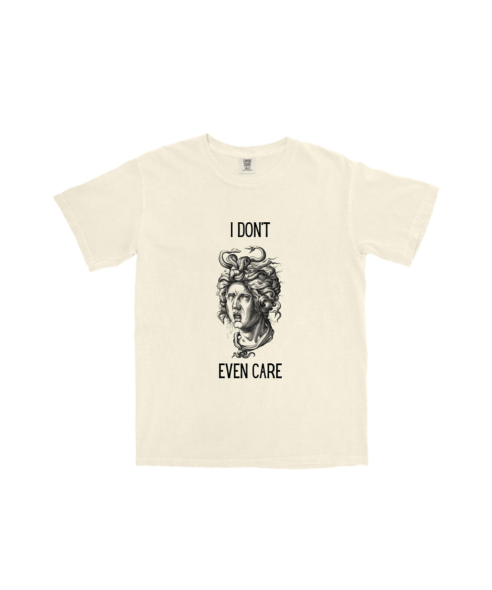 Thumbnail: i dont even care sarcastic minimalist text t-shirt