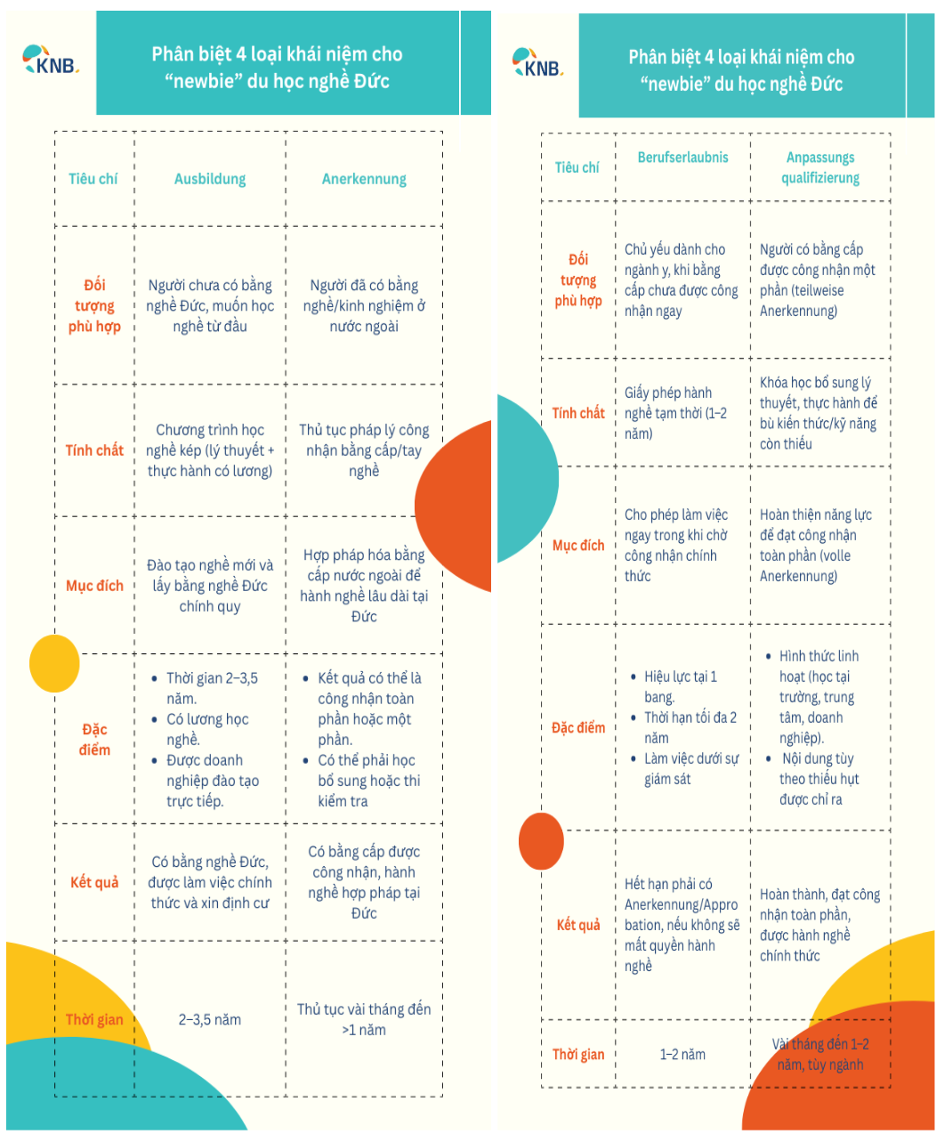 KNB phân tích, so sánh các chương trình dành cho người có định hướng sự nghiệp tại Đức.