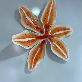 Tiger Lily