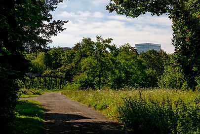 scharfsinn-micha-eicher_E1020837_web_edi