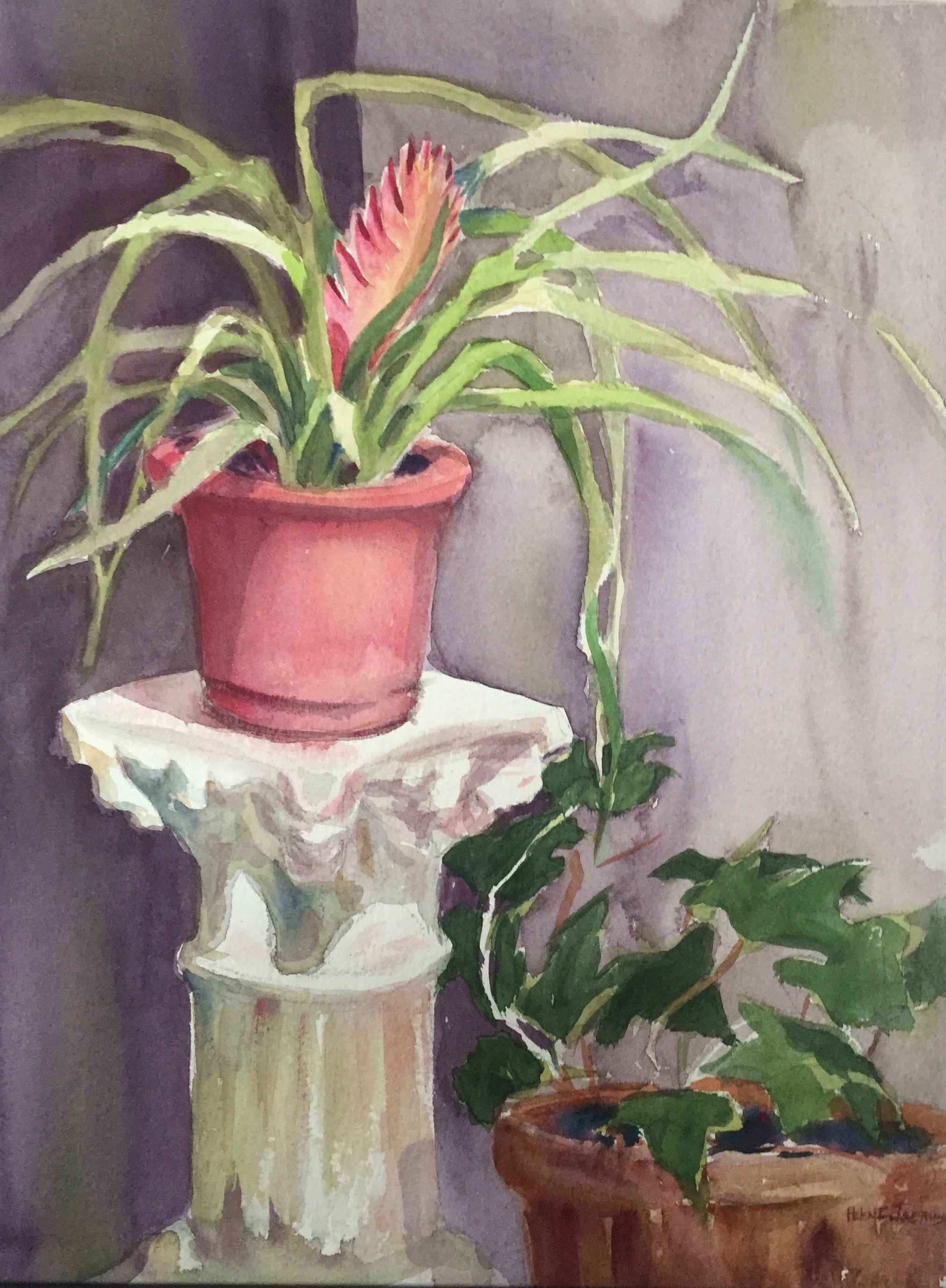 Still Life