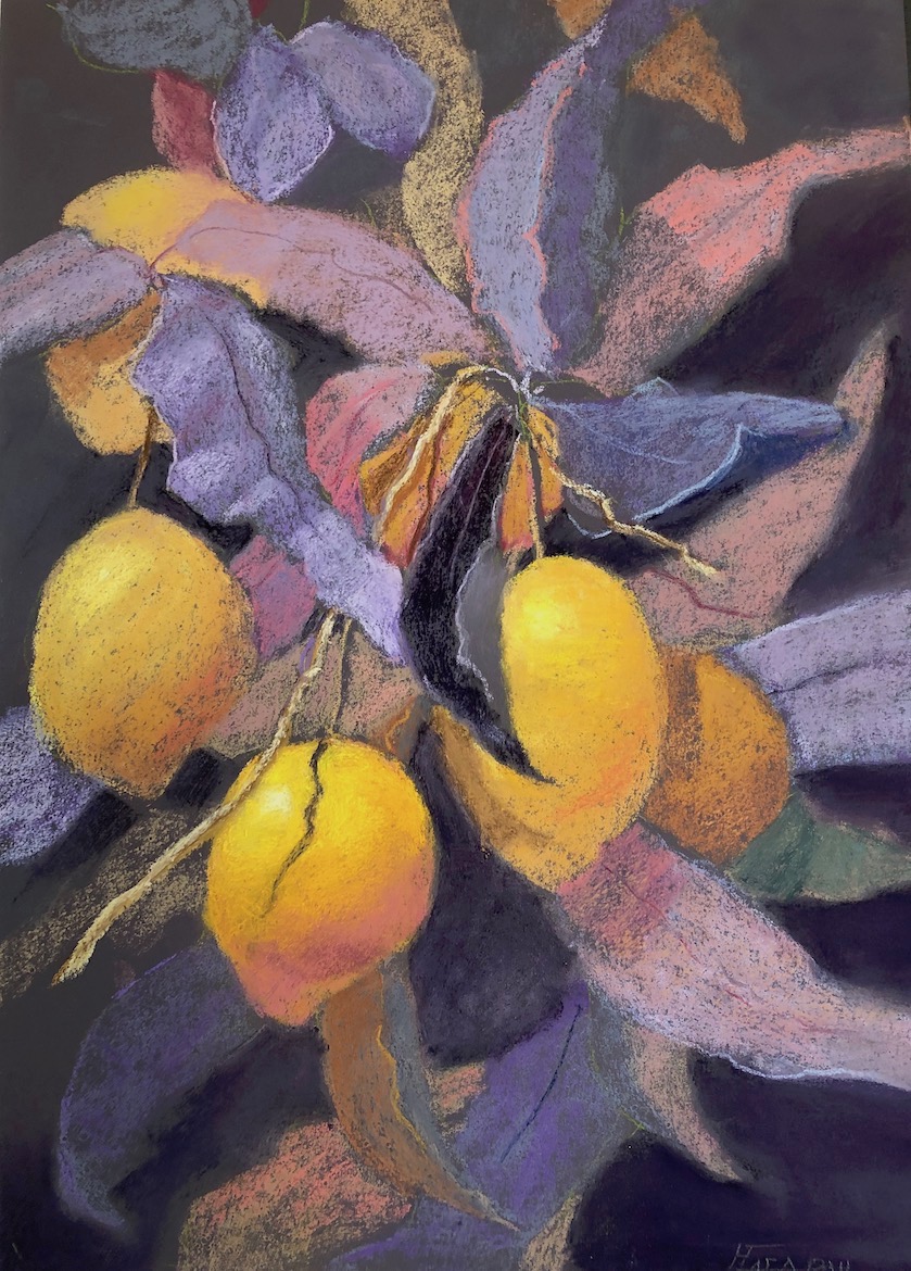 Mango Delite