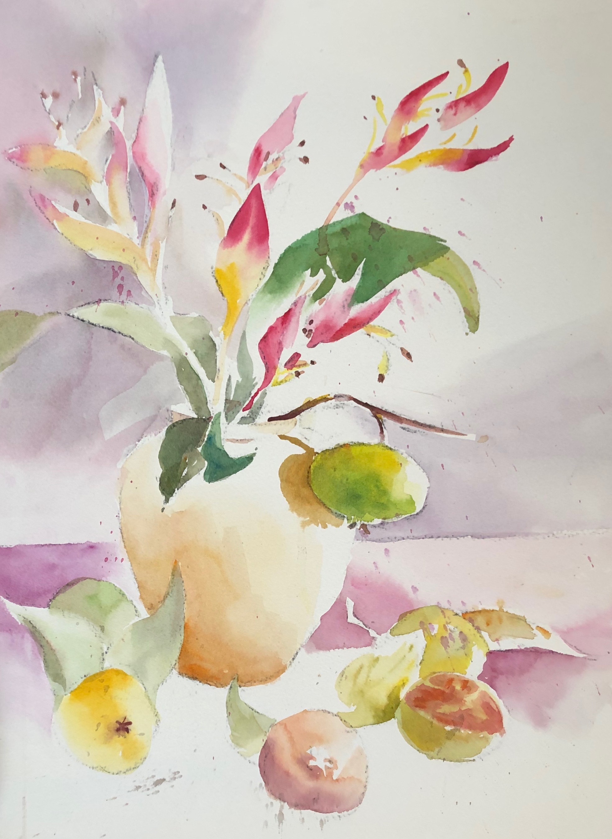Parakeet Helekonia W/ Guava