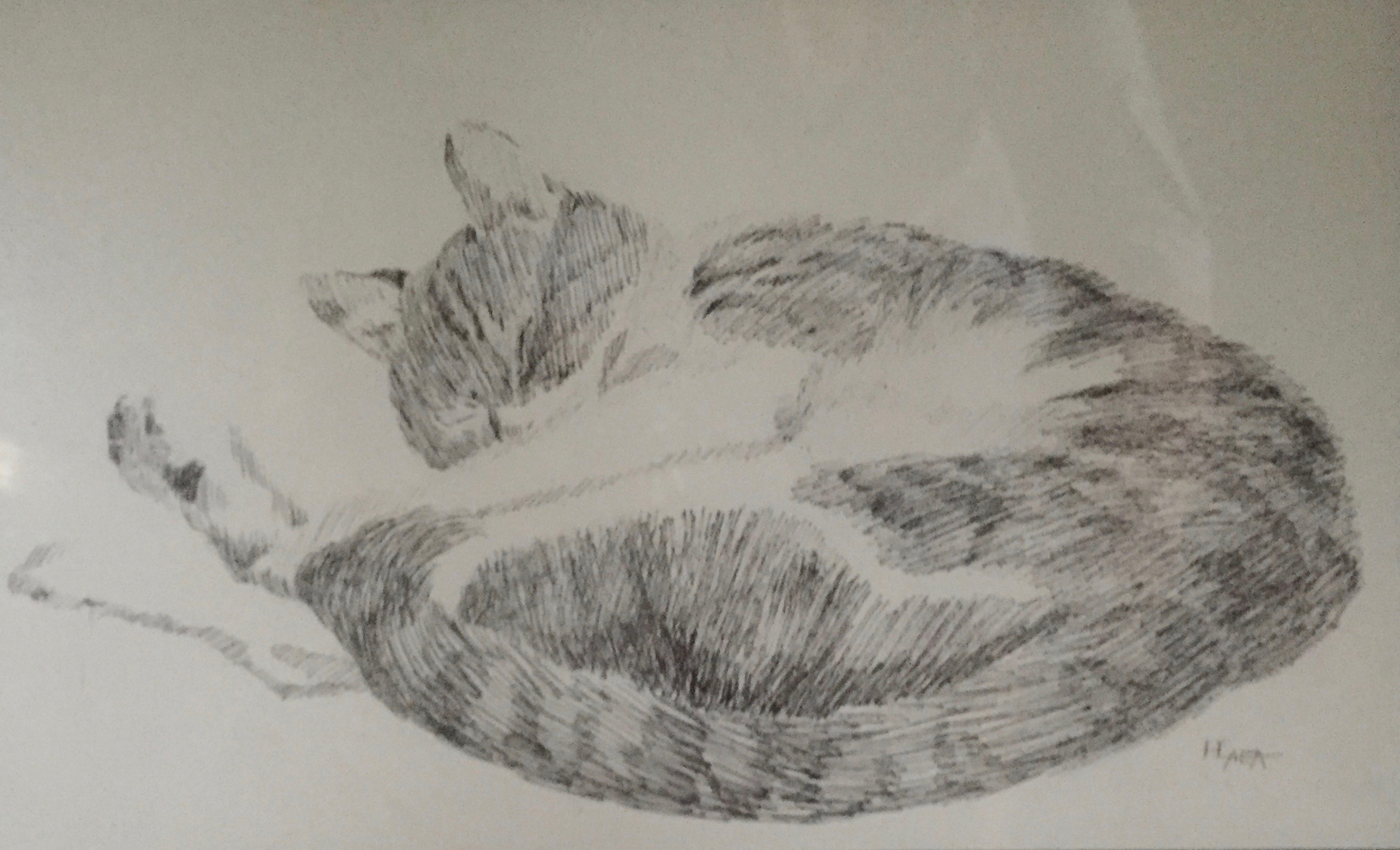 Naptime