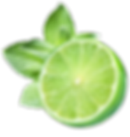 kisspng-alternative-health-services-home