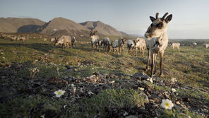 Exclusive Expeditions