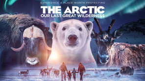 The Arctic wins Best Film 2022 at the GSCA Awards