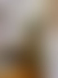 How to Incorporate Vintage Into Your Home