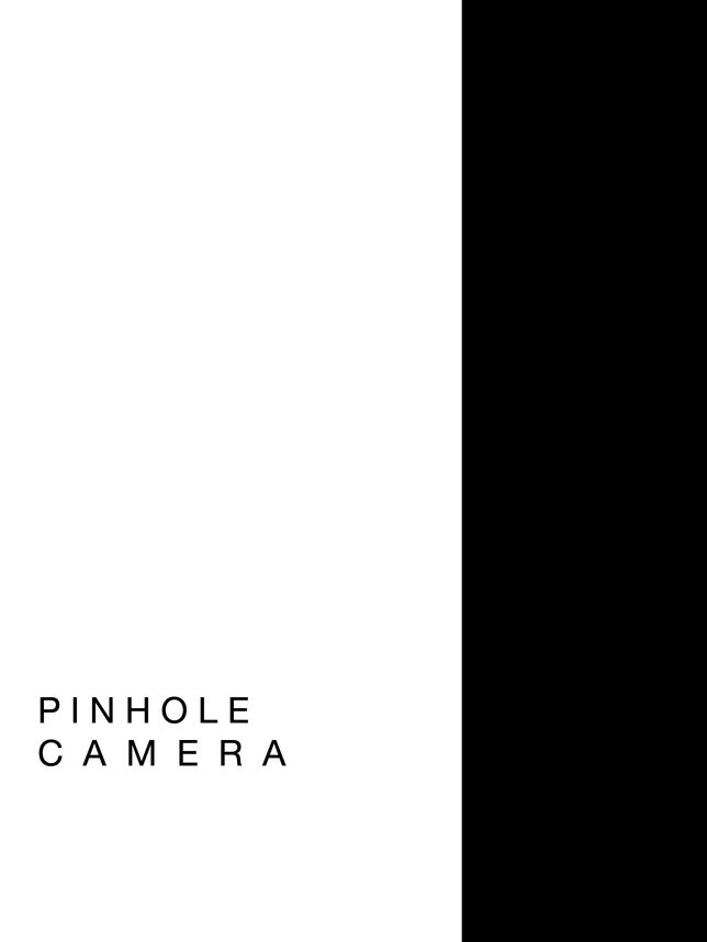 PIN HOLE CAMERA Y2.pages 3.jpg