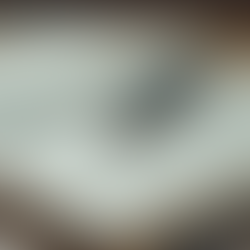 Mentorluk ile Başarıya Giden Yol