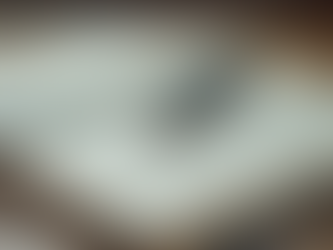 Mentorluk ile Başarıya Giden Yol