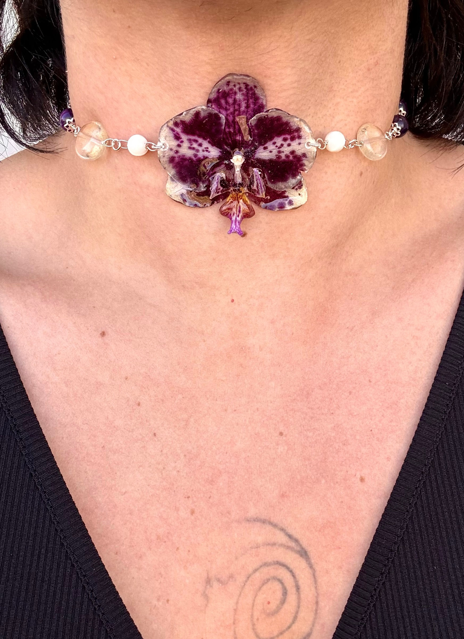 Nature’s Milk of an Orchid