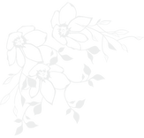 お花イラスト左.png