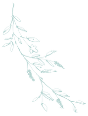 草イラスト左.png