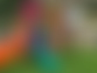 Playground 4:  Ayutthaya | Thailand