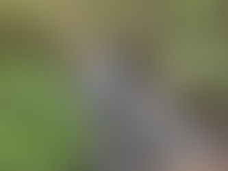 איכות, קבלה ומשמעות: על שלוש דרכים לראות את החיים הבריאים