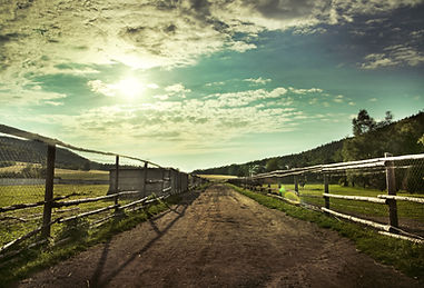Depositphotos_13876494_XL.jpg