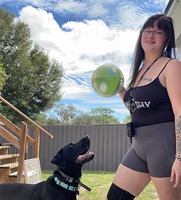 Sinder showing off his attention skills without a woofing fit!