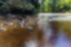 scenic-nature-view-of-tahan-river-with-lush-rainfo-2026-01-08-07-00-11-utc.jpg