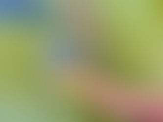 釣り初心者の方へ