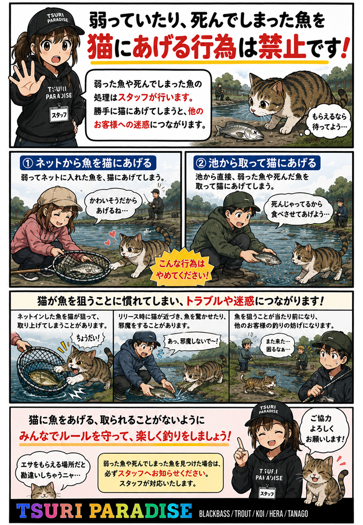 猫に魚をあげないで