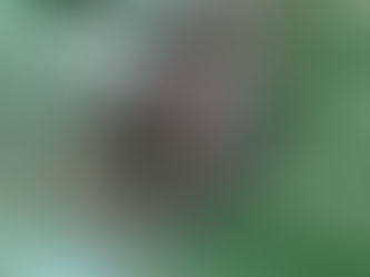 ルアー回収しました