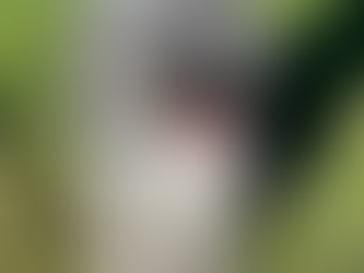 Lavi | Mini Goldendoodle | Corona, CA | In-Training