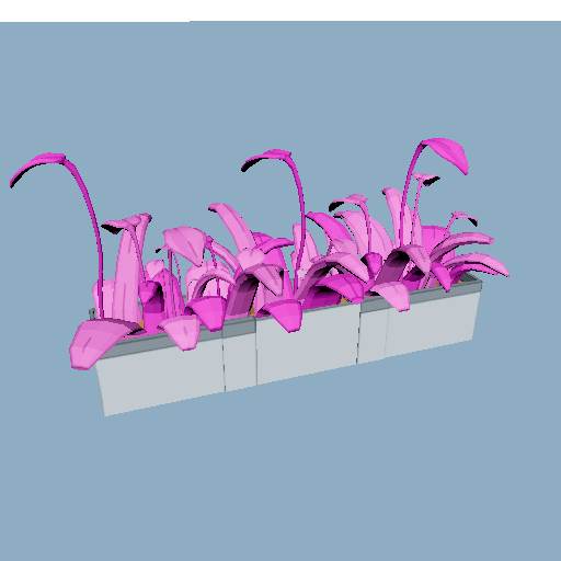 image12.gif