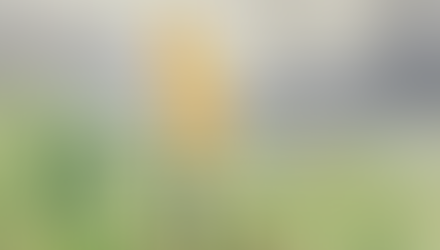 Embracing the God Who Sees Past My Sin