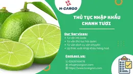 Thủ tục xuất khẩu chanh tươi - Chi tiết từ A đến Z