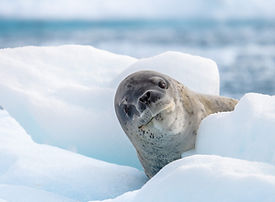 20280115_Ushuaia_Roundtrip_10N_WNA.jpg