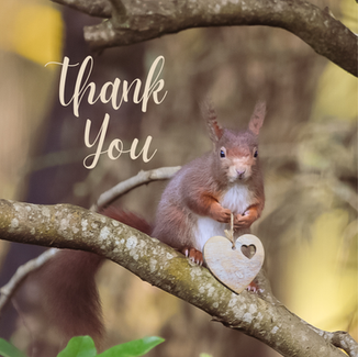 Thank You Card with Red Squirrel. 